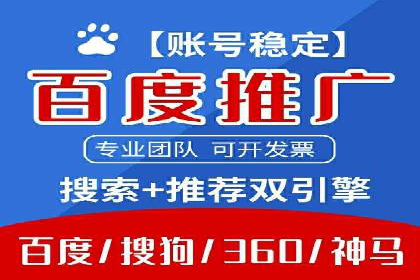 百度竞价广告的投放策略与成功案例分析